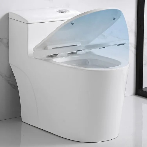 Bồn cầu liền khối Dakoshi C6010 hàng chính hãng - Vật tư giá rẻ Bồn cầu liền khối Dakoshi C6010 chính hãng - Vật tư giá rẻ